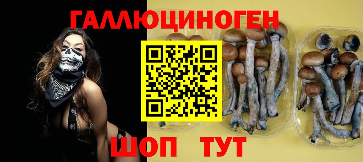 Богданович  Галлюциногенные грибы ЛСД  дарнет шоп  Галлюциногенные грибы Cubensis  Вход с VPN 
